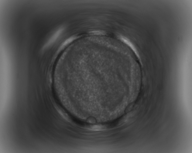 X0000086030059200704131922