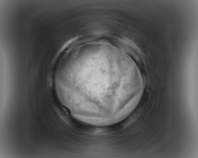 X0000086030060200704131922