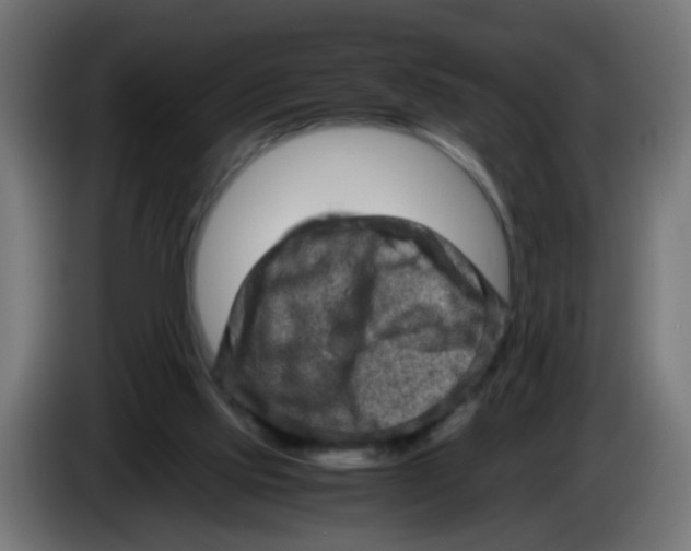 X0000086030061200704131922