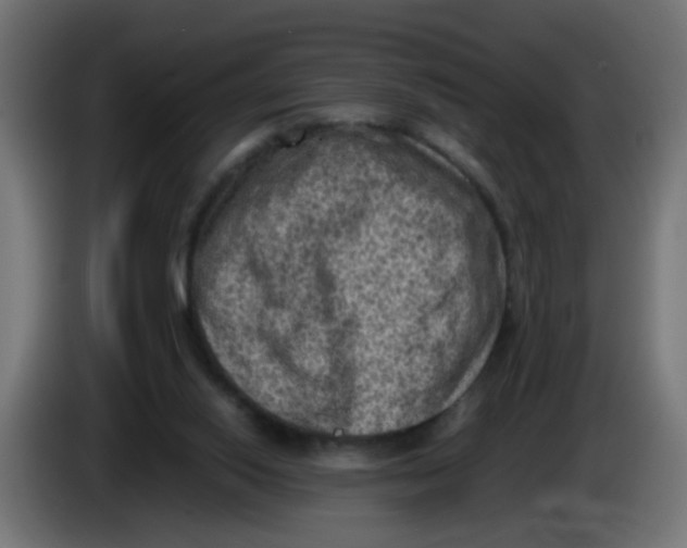 X0000086030062200704131922