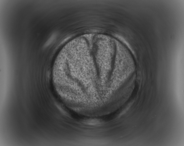 X0000086030063200704131922