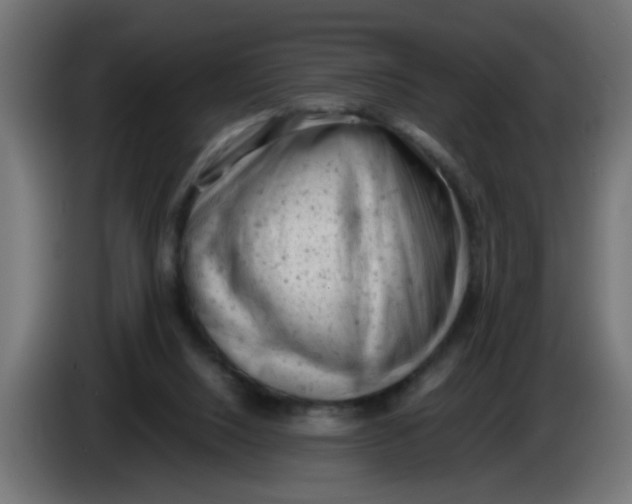 X0000086030064200704131922