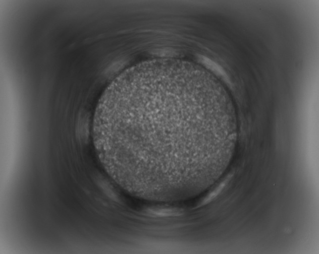 X0000086030065200704131922