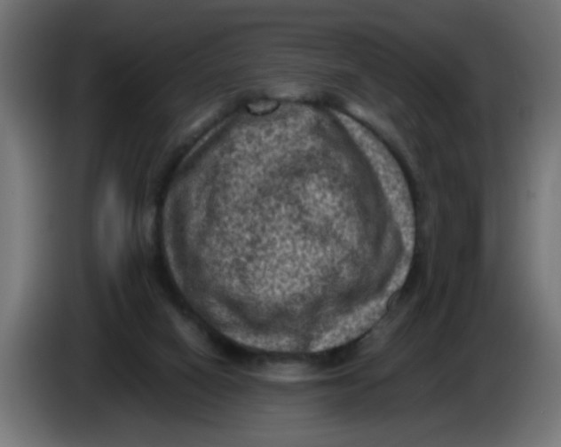 X0000086030066200704131922