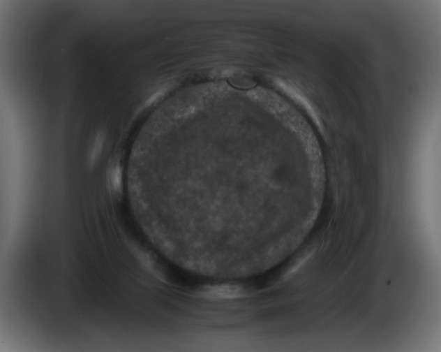 X0000086030067200704131922