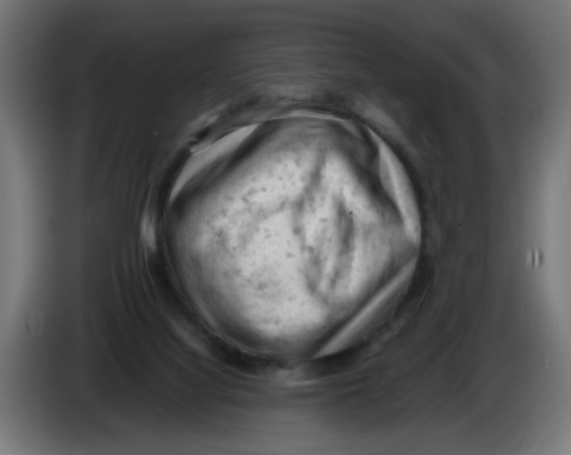 X0000086030068200704131922