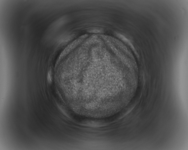 X0000086030069200704131922