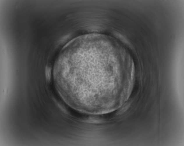 X0000086030070200704131922