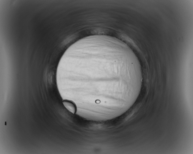 X0000086030071200704131922