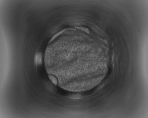 X0000086030075200704131922