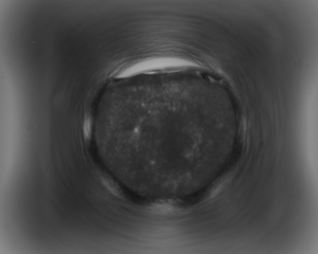 X0000086030076200704131922