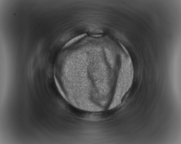 X0000086030078200704131922