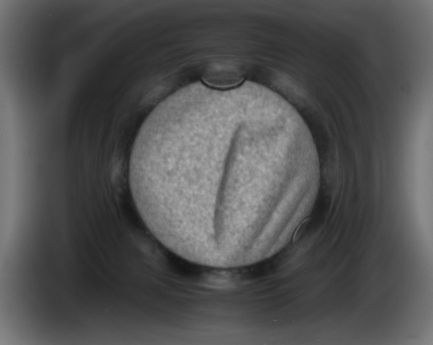 X0000086030079200704131922