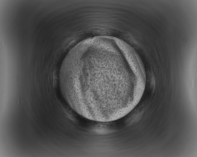 X0000086030080200704131922