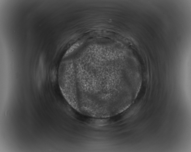 X0000086030081200704131922