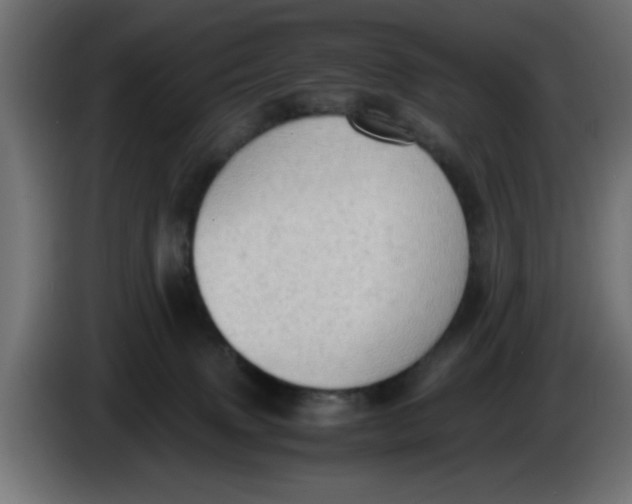 X0000086030083200704131922