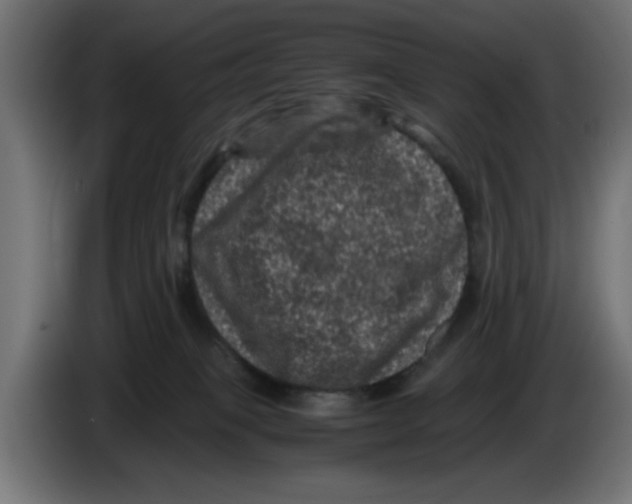 X0000086030085200704131922