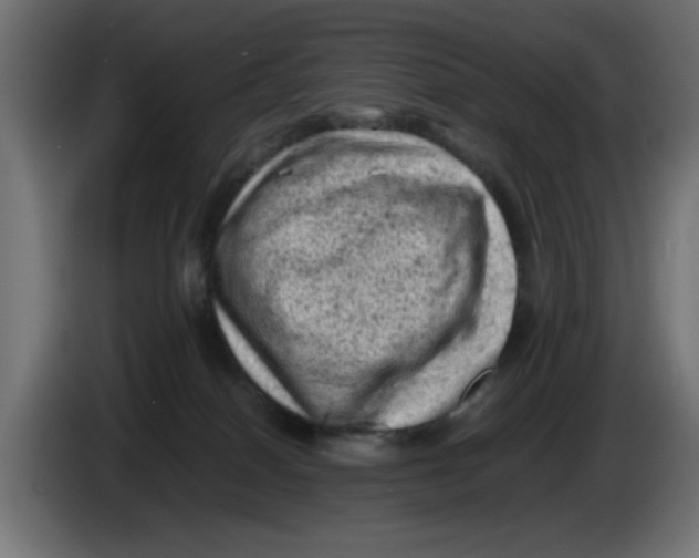 X0000086030086200704131922