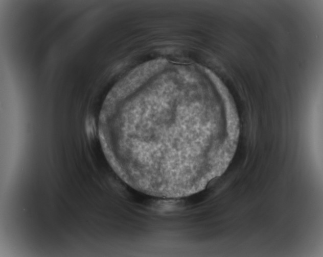 X0000086030089200704131922