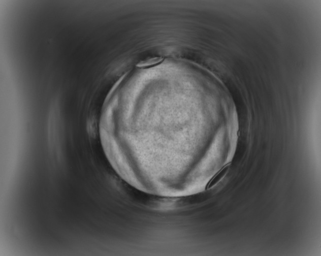 X0000086030090200704131922