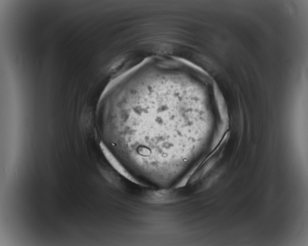 X0000086030092200704131922