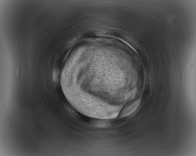 X0000086030094200704131922