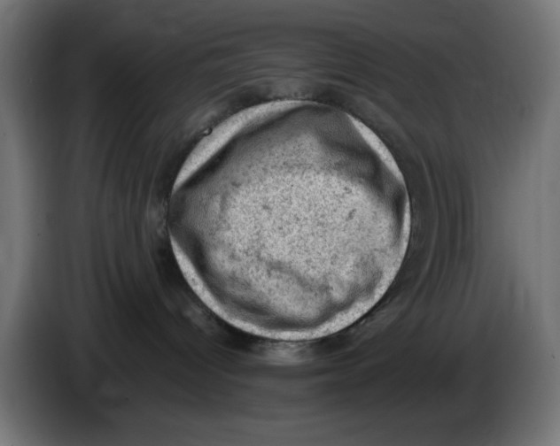 X0000086030096200704131922