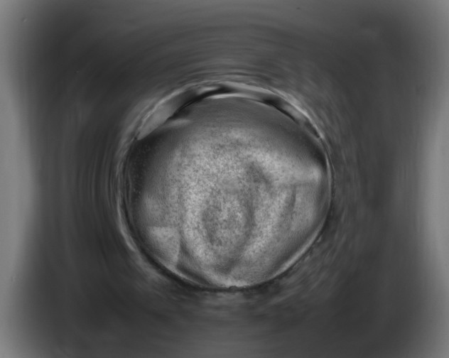 X0000086030097200704131921