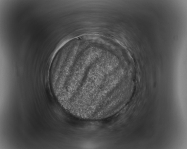 X0000086030099200704131921