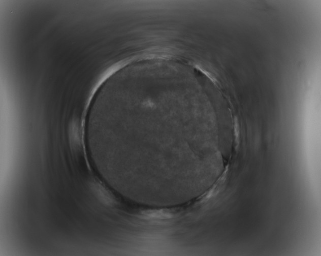 X0000086030100200704131921