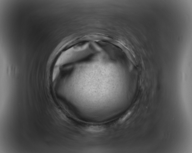 X0000086030101200704131921