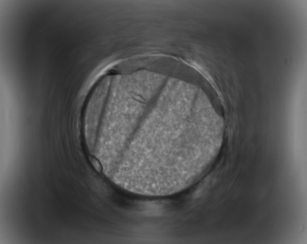 X0000086030103200704131921