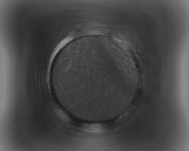 X0000086030104200704131921