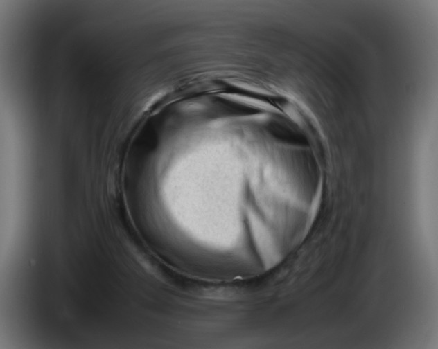 X0000086030105200704131921