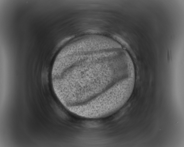 X0000086030106200704131921