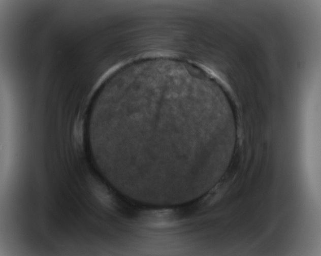 X0000086030108200704131921