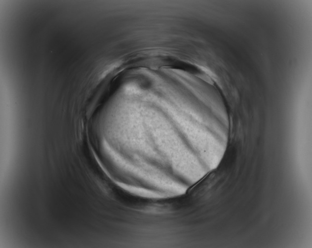 X0000086030109200704131921