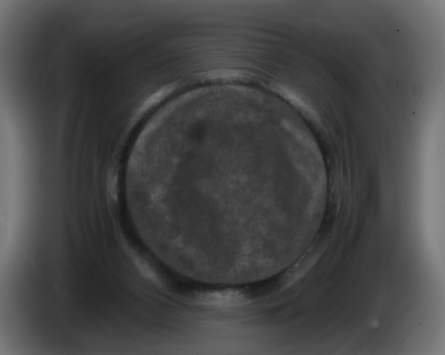 X0000086030112200704131921