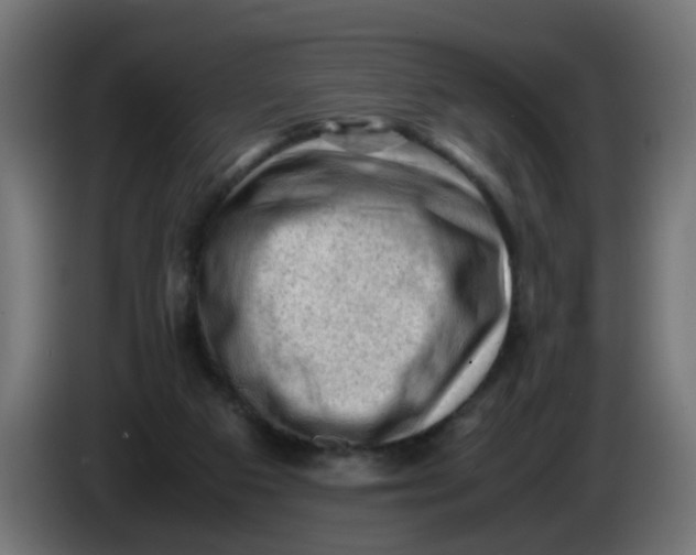 X0000086030113200704131921