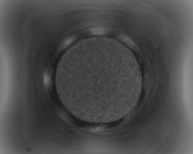 X0000086030116200704131921