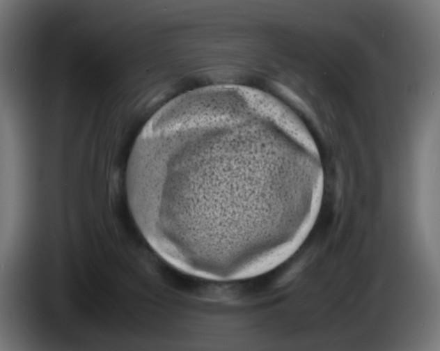 X0000086030117200704131921