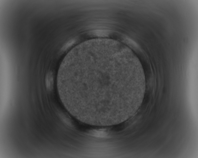 X0000086030120200704131921