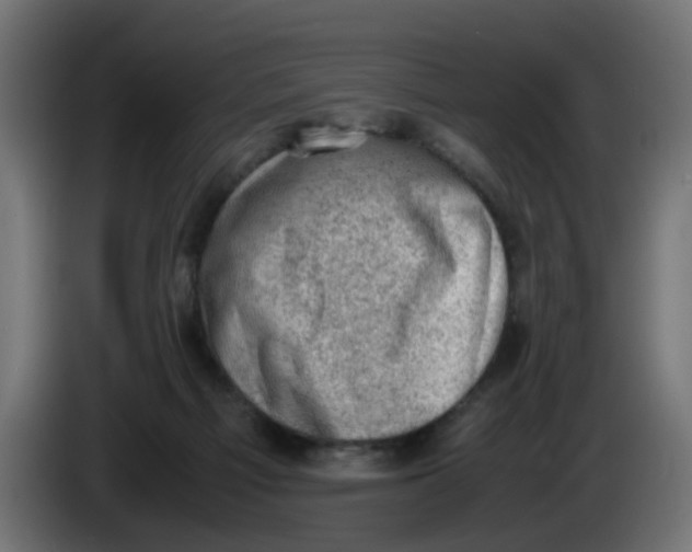 X0000086030121200704131921