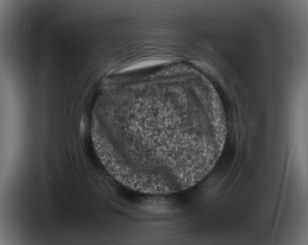 X0000086030123200704131921