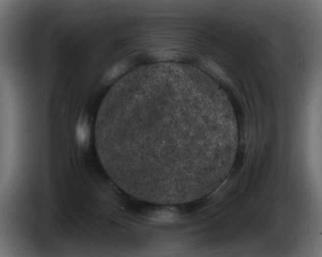 X0000086030124200704131921