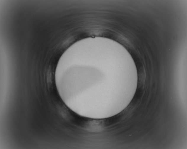 X0000086030126200704131921