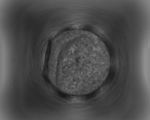 X0000086030127200704131921