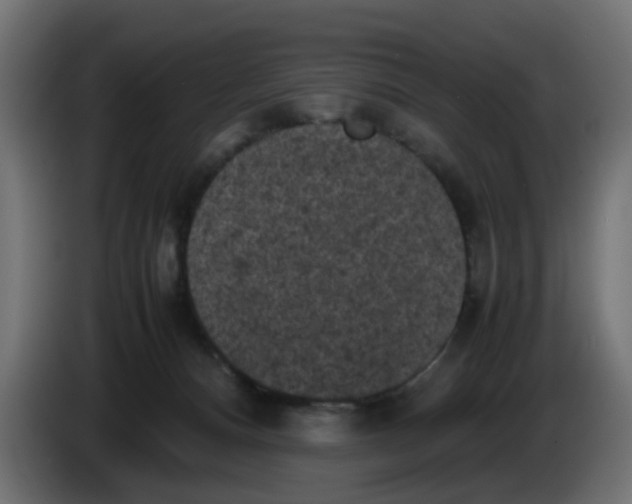 X0000086030128200704131921