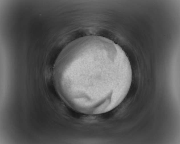 X0000086030129200704131921