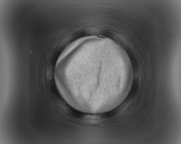 X0000086030133200704131921